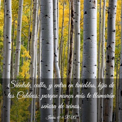 Picture 03 - Isaías 47:5 RVA - Siéntate, calla, y entra en tinieblas, hija de - Bible Verse Picture