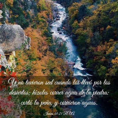Picture 03 - Isaías 48:21 RVA - Y no tuvieron sed cuando los llevó por los - Bible Verse Picture