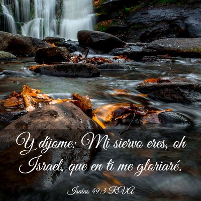 Picture 03 - Isaías 49:3 RVA - Y díjome: Mi siervo eres, oh Israel, que en ti - Bible Verse Picture
