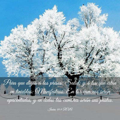 Picture 03 - Isaías 49:9 RVA - Para que digas á los presos: Salid; y á los que - Bible Verse Picture