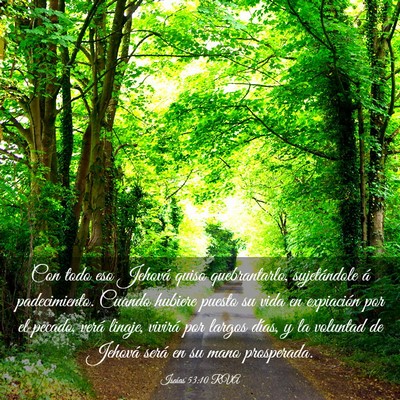 Picture 03 - Isaías 53:10 RVA - Con todo eso Jehová quiso quebrantarlo, - Bible Verse Picture