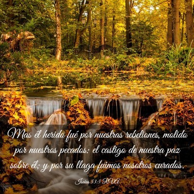 Picture 03 - Isaías 53:5 RVA - Mas él herido fué por nuestras rebeliones, - Bible Verse Picture