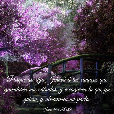 Picture 03 - Isaías 56:4 RVA - Porque así dijo Jehová á los eunucos que - Bible Verse Picture