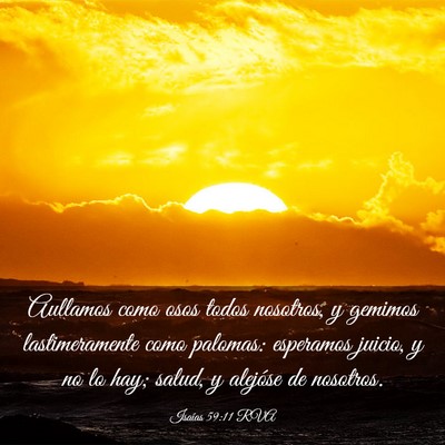 Picture 03 - Isaías 59:11 RVA - Aullamos como osos todos nosotros, y gemimos - Bible Verse Picture