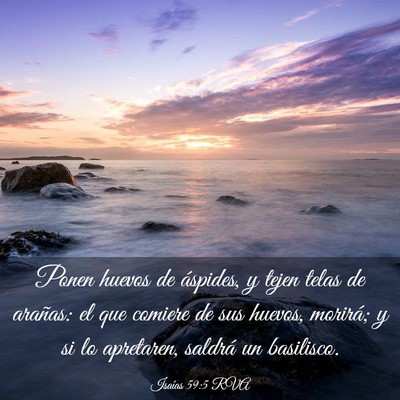 Picture 03 - Isaías 59:5 RVA - Ponen huevos de áspides, y tejen telas de - Bible Verse Picture
