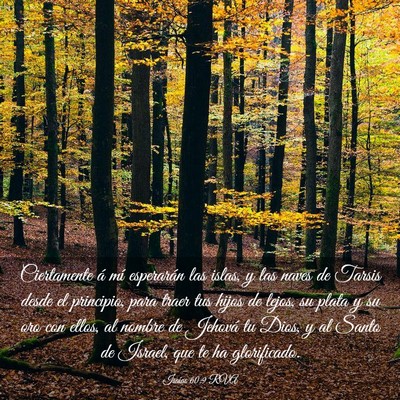 Picture 03 - Isaías 60:9 RVA - Ciertamente á mí esperarán las islas, y las - Bible Verse Picture