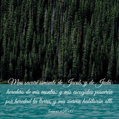 Picture 03 - Isaías 65:9 RVA - Mas sacaré simiente de Jacob, y de Judá - Bible Verse Picture