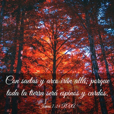 Picture 03 - Isaías 7:24 RVA - Con saetas y arco irán allá; porque toda la - Bible Verse Picture