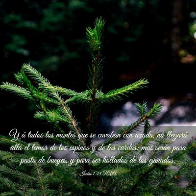 Picture 03 - Isaías 7:25 RVA - Y á todos los montes que se cavaban con azada, - Bible Verse Picture