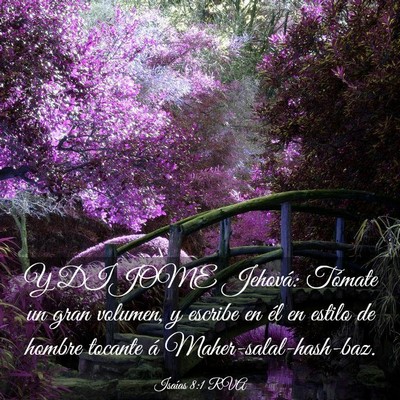 Picture 03 - Isaías 8:1 RVA - Y DIJOME Jehová: Tómate un gran volumen, y - Bible Verse Picture