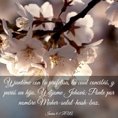 Picture 03 - Isaías 8:3 RVA - Y juntéme con la profetisa, la cual concibió, y - Bible Verse Picture