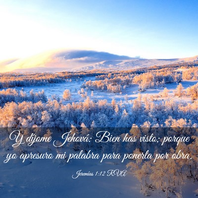 Picture 03 - Jeremías 1:12 RVA - Y díjome Jehová: Bien has visto; porque yo - Bible Verse Picture