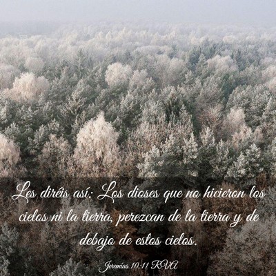 Picture 03 - Jeremías 10:11 RVA - Les diréis así: Los dioses que no hicieron los - Bible Verse Picture