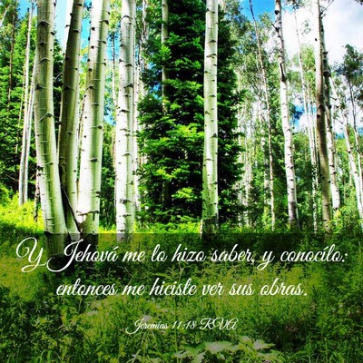 Picture 03 - Jeremías 11:18 RVA - Y Jehová me lo hizo saber, y conocílo: entonces - Bible Verse Picture