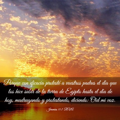 Picture 03 - Jeremías 11:7 RVA - Porque con eficacia protesté a vuestros padres - Bible Verse Picture