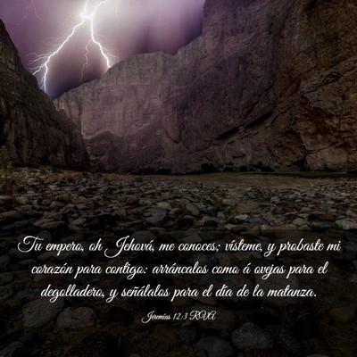 Picture 03 - Jeremías 12:3 RVA - Tu empero, oh Jehová, me conoces; vísteme, y - Bible Verse Picture
