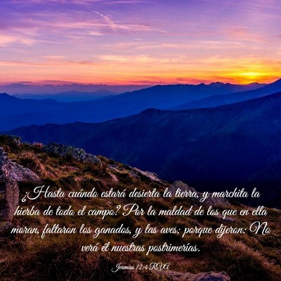 Picture 03 - Jeremías 12:4 RVA - ¿Hasta cuándo estará desierta la tierra, y - Bible Verse Picture