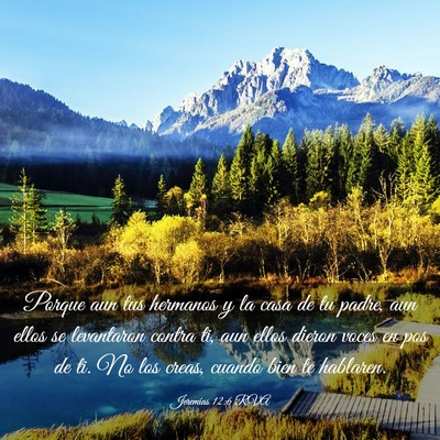 Picture 03 - Jeremías 12:6 RVA - Porque aun tus hermanos y la casa de tu padre, - Bible Verse Picture