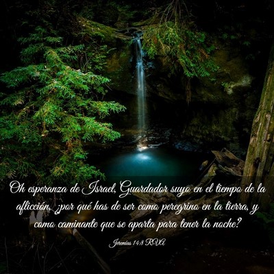 Picture 03 - Jeremías 14:8 RVA - Oh esperanza de Israel, Guardador suyo en el - Bible Verse Picture