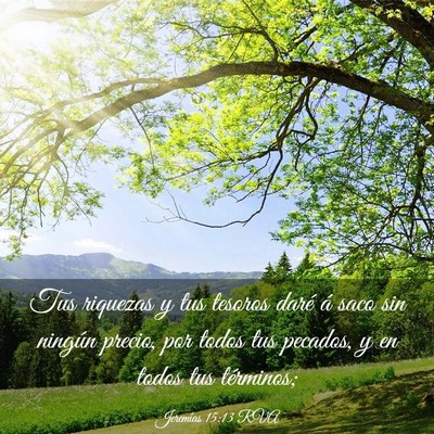 Picture 03 - Jeremías 15:13 RVA - Tus riquezas y tus tesoros daré á saco sin - Bible Verse Picture