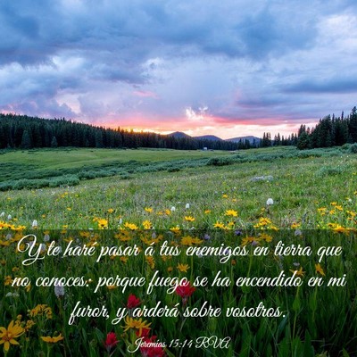 Picture 03 - Jeremías 15:14 RVA - Y te haré pasar á tus enemigos en tierra que no - Bible Verse Picture