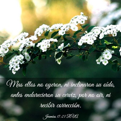 Picture 03 - Jeremías 17:23 RVA - Mas ellos no oyeron, ni inclinaron su oído, - Bible Verse Picture