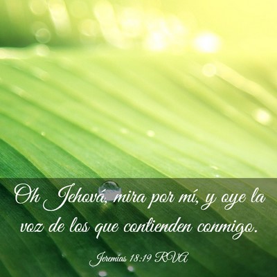 Picture 03 - Jeremías 18:19 RVA - Oh Jehová, mira por mí, y oye la voz de los que - Bible Verse Picture