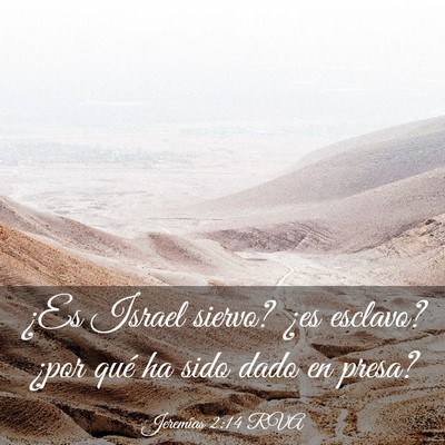 Picture 03 - Jeremías 2:14 RVA - ¿Es Israel siervo? ¿es esclavo? ¿por qué ha - Bible Verse Picture