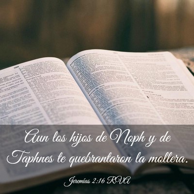 Picture 03 - Jeremías 2:16 RVA - Aun los hijos de Noph y de Taphnes te - Bible Verse Picture