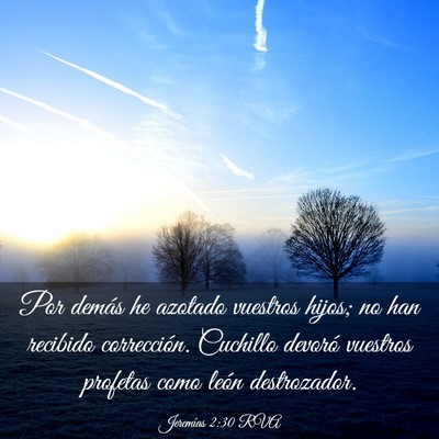 Picture 03 - Jeremías 2:30 RVA - Por demás he azotado vuestros hijos; no han - Bible Verse Picture