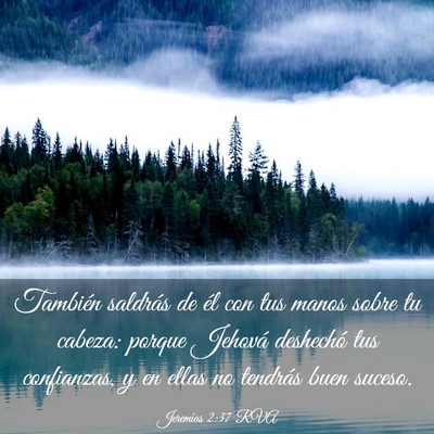 Picture 03 - Jeremías 2:37 RVA - También saldrás de él con tus manos sobre tu - Bible Verse Picture