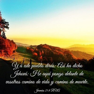 Picture 03 - Jeremías 21:8 RVA - Y á este pueblo dirás: Así ha dicho Jehová: - Bible Verse Picture