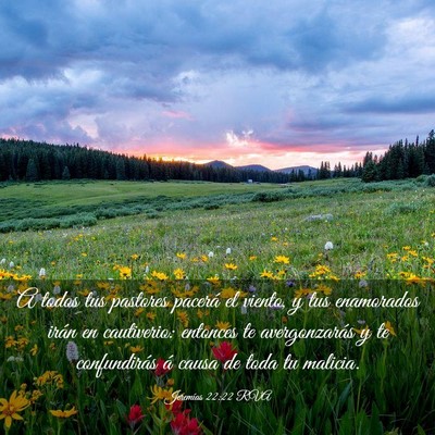 Picture 03 - Jeremías 22:22 RVA - A todos tus pastores pacerá el viento, y tus - Bible Verse Picture
