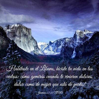 Picture 03 - Jeremías 22:23 RVA - Habitaste en el Líbano, hiciste tu nido en los - Bible Verse Picture