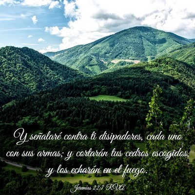 Picture 03 - Jeremías 22:7 RVA - Y señalaré contra ti disipadores, cada uno con - Bible Verse Picture
