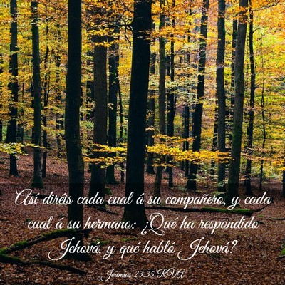 Picture 03 - Jeremías 23:35 RVA - Así diréis cada cual á su compañero, y cada - Bible Verse Picture