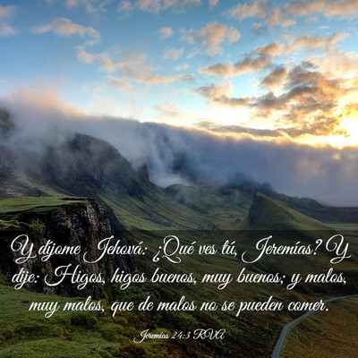 Picture 03 - Jeremías 24:3 RVA - Y díjome Jehová: ¿Qué ves tú, Jeremías? Y - Bible Verse Picture