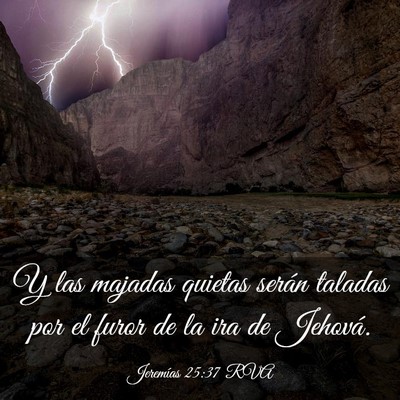 Picture 03 - Jeremías 25:37 RVA - Y las majadas quietas serán taladas por el furor - Bible Verse Picture
