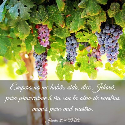 Picture 03 - Jeremías 25:7 RVA - Empero no me habéis oído, dice Jehová, para - Bible Verse Picture