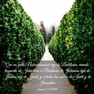Picture 03 - Jeremías 27:20 RVA - Que no quitó Nabucodonosor rey de Babilonia, - Bible Verse Picture