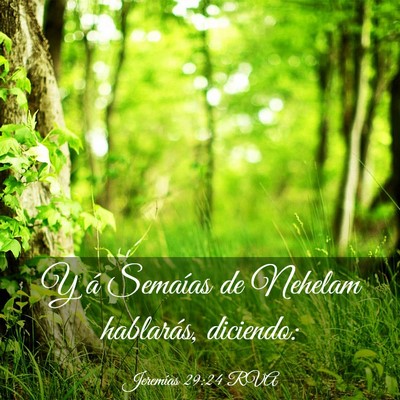 Picture 03 - Jeremías 29:24 RVA - Y á Semaías de Nehelam hablarás, - Bible Verse Picture