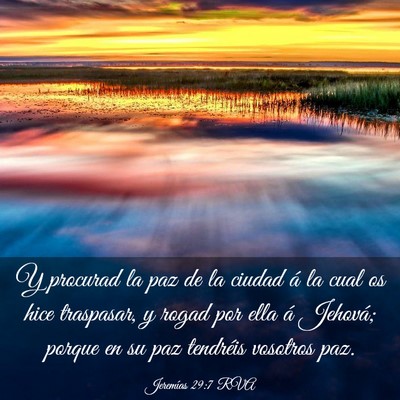 Picture 03 - Jeremías 29:7 RVA - Y procurad la paz de la ciudad á la cual os hice - Bible Verse Picture