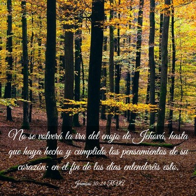 Picture 03 - Jeremías 30:24 RVA - No se volverá la ira del enojo de Jehová, hasta - Bible Verse Picture