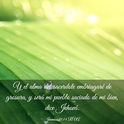 Picture 03 - Jeremías 31:14 RVA - Y el alma del sacerdote embriagaré de grosura, y - Bible Verse Picture
