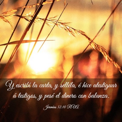 Picture 03 - Jeremías 32:10 RVA - Y escribí la carta, y selléla, é hice - Bible Verse Picture