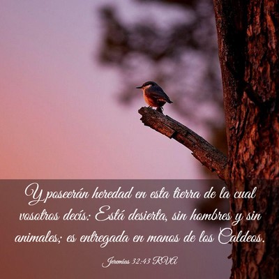 Picture 03 - Jeremías 32:43 RVA - Y poseerán heredad en esta tierra de la cual - Bible Verse Picture
