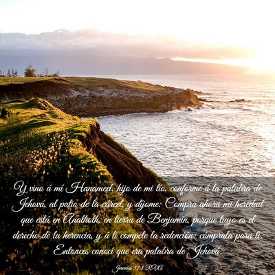 Picture 03 - Jeremías 32:8 RVA - Y vino á mí Hanameel, hijo de mi tío, conforme - Bible Verse Picture