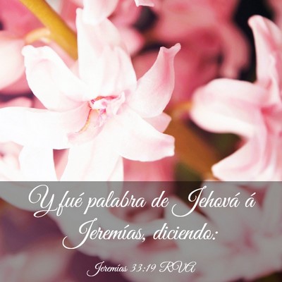 Picture 03 - Jeremías 33:19 RVA - Y fué palabra de Jehová á Jeremías, - Bible Verse Picture