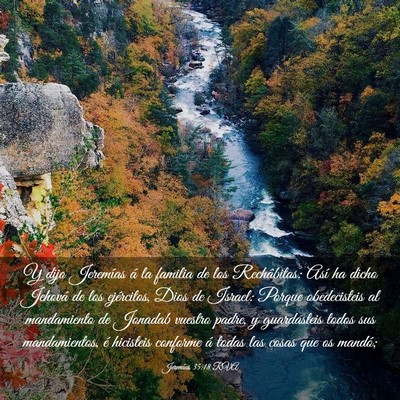Picture 03 - Jeremías 35:18 RVA - Y dijo Jeremías á la familia de los - Bible Verse Picture