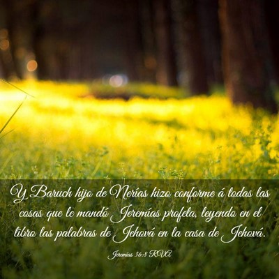Picture 03 - Jeremías 36:8 RVA - Y Baruch hijo de Nerías hizo conforme á todas - Bible Verse Picture